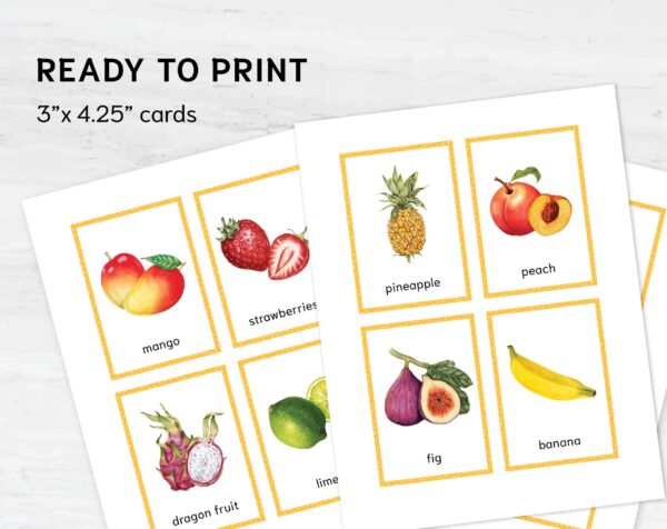 Watercolor Fruit Flashcards - Montessori Vibrant Learning Set, Printable Kids Vocabulary Cards for Homeschooling & Learning