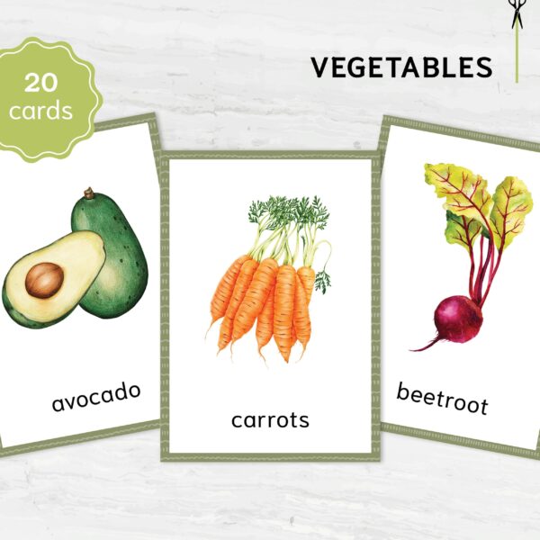 Montessori Vegetable Flashcards - Printable Vocabulary Cards for Homeschooling & Education Materials