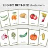 Montessori Vegetable Flashcards - Printable Vocabulary Cards for Homeschooling & Education Materials