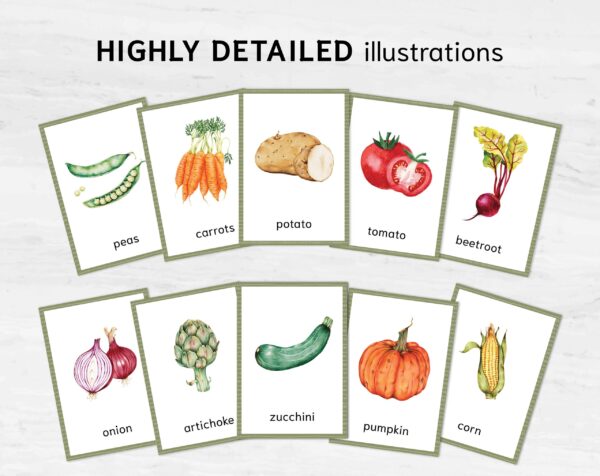 Montessori Vegetable Flashcards - Printable Vocabulary Cards for Homeschooling & Education Materials