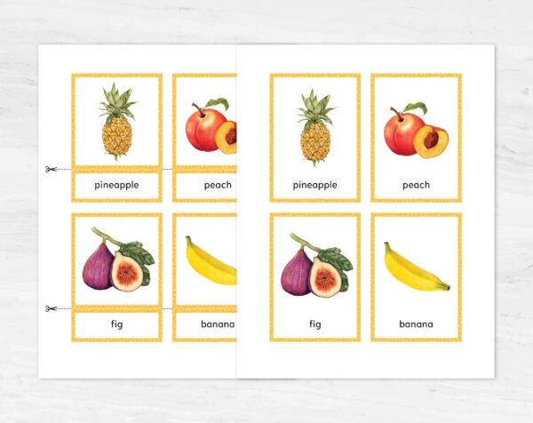 Watercolor Fruit Flashcards - Montessori Vibrant Learning Set, Printable Kids Vocabulary Cards for Homeschooling & Learning