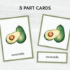 Montessori Vegetable Flashcards - Printable Vocabulary Cards for Homeschooling & Education Materials