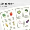 Montessori Vegetable Flashcards - Printable Vocabulary Cards for Homeschooling & Education Materials