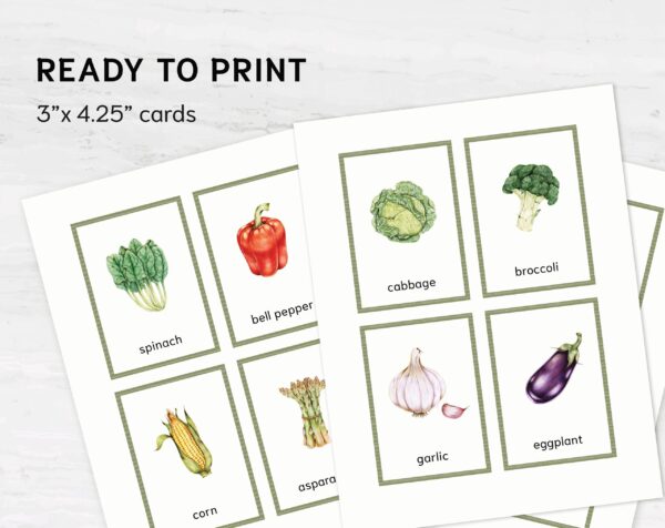 Montessori Vegetable Flashcards - Printable Vocabulary Cards for Homeschooling & Education Materials