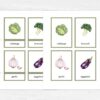 Montessori Vegetable Flashcards - Printable Vocabulary Cards for Homeschooling & Education Materials