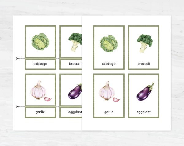 Montessori Vegetable Flashcards - Printable Vocabulary Cards for Homeschooling & Education Materials