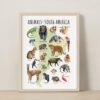 Animals of South America Poster – Watercolor Wildlife Map | Montessori & Homeschool Printable