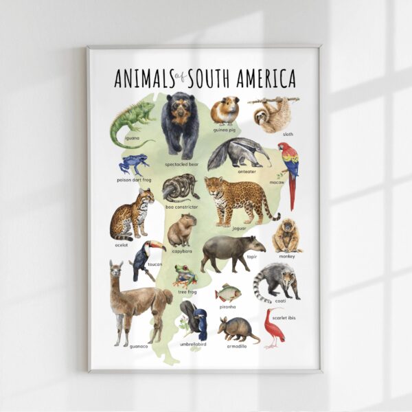 Animals of South America Poster – Watercolor Wildlife Map | Montessori & Homeschool Printable