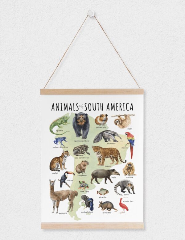 Animals of South America Poster – Watercolor Wildlife Map | Montessori & Homeschool Printable
