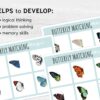 Engaging Butterfly Symmetry Puzzle for Kids, Montessori Learning Activity, Spring Unit Study