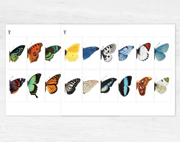 Engaging Butterfly Symmetry Puzzle for Kids, Montessori Learning Activity, Spring Unit Study