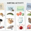 Explore Opposites sorting activity: FAST-or-SLOW Montessori-Styled Logic Set for Toddlers flashcards
