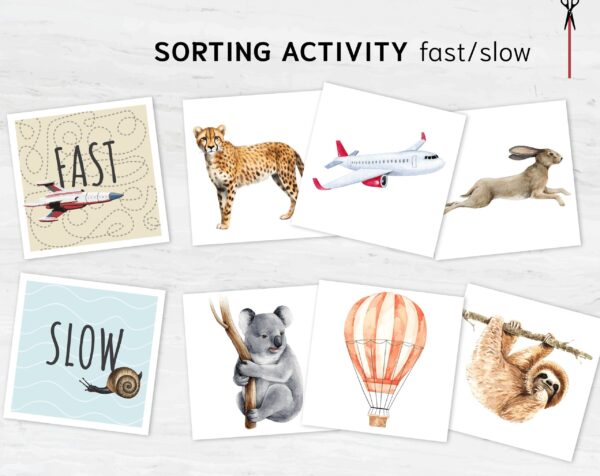 Explore Opposites sorting activity: FAST-or-SLOW Montessori-Styled Logic Set for Toddlers flashcards