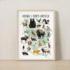 Animal Continents Watercolor Poster Set: Educational Wildlife Art + free Polar Animals print (7 prints)