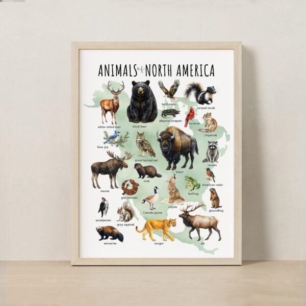 Animal Continents Watercolor Poster Set: Educational Wildlife Art + free Polar Animals print (7 prints)