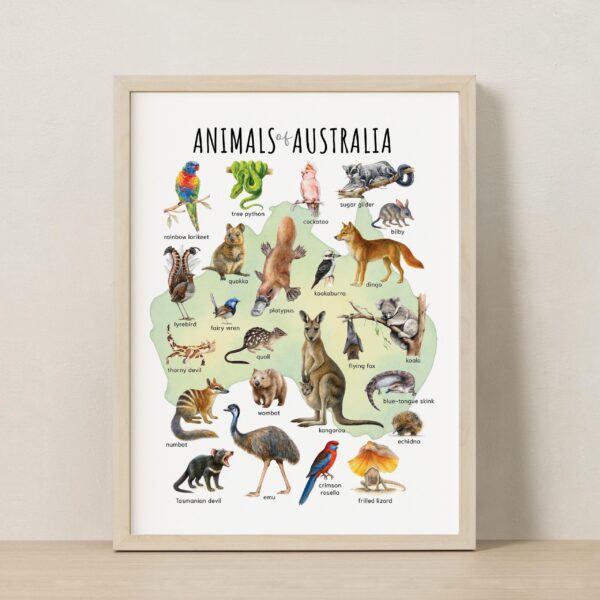Animal Continents Watercolor Poster Set: Educational Wildlife Art + free Polar Animals print (7 prints)