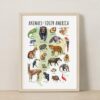 Animal Continents Watercolor Poster Set: Educational Wildlife Art + free Polar Animals print (7 prints)
