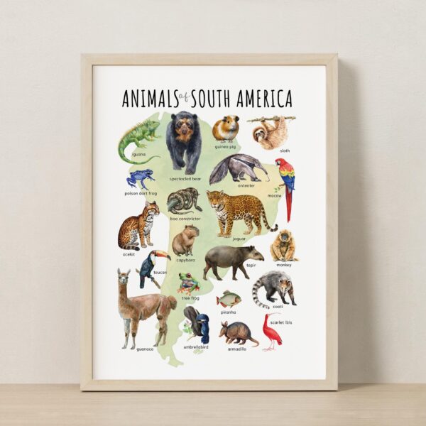 Animal Continents Watercolor Poster Set: Educational Wildlife Art + free Polar Animals print (7 prints)