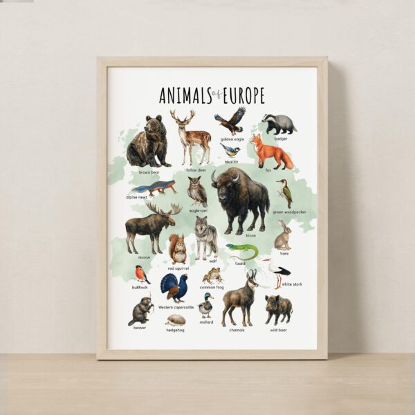 Animal Continents Watercolor Poster Set: Educational Wildlife Art + free Polar Animals print (7 prints)