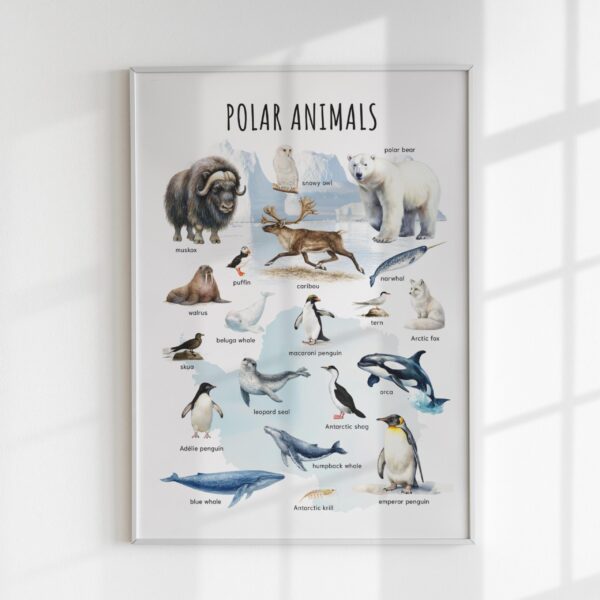 Polar Animals Poster Printable | Arctic & Antarctic Animals Watercolor Educational Art | Montessori Classroom