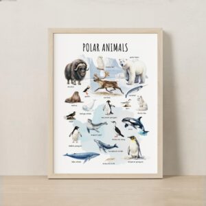 Polar Animals Poster Printable | Arctic & Antarctic Animals Watercolor Educational Art | Montessori Classroom