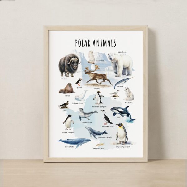 Polar Animals Poster Printable | Arctic & Antarctic Animals Watercolor Educational Art | Montessori Classroom