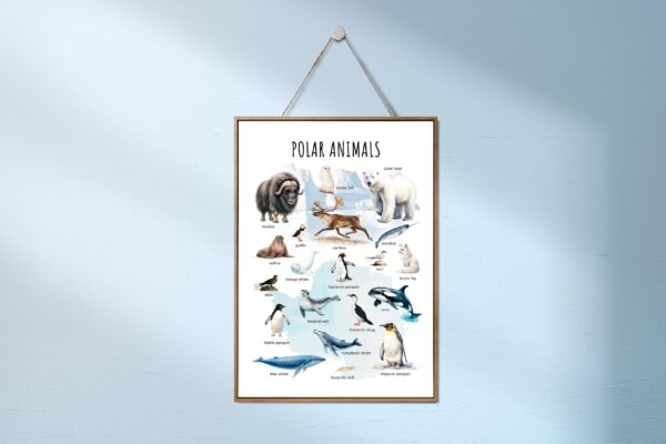 Polar Animals Poster Printable | Arctic & Antarctic Animals Watercolor Educational Art | Montessori Classroom