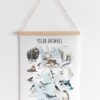 Polar Animals Poster Printable | Arctic & Antarctic Animals Watercolor Educational Art | Montessori Classroom