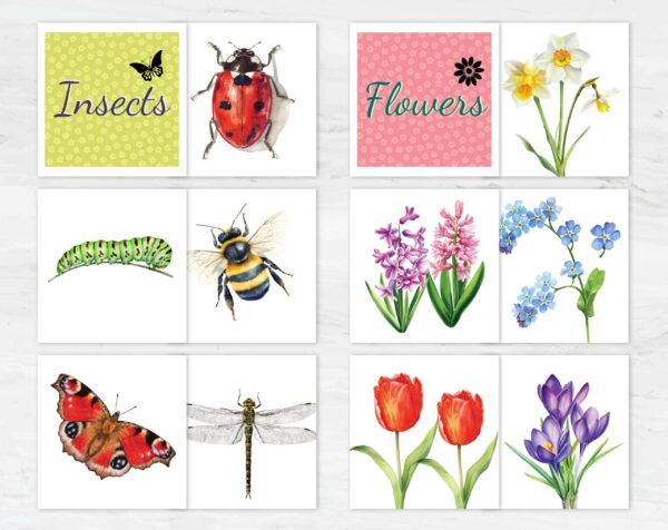 Spring Category Sorting Game Printable | Montessori Nature Activity (Digital Download)