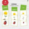 Spring Size Sorting Printable | Montessori Category Sorting Cards (Digital Download)