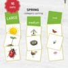 Spring Size Sorting Printable | Montessori Category Sorting Cards (Digital Download)