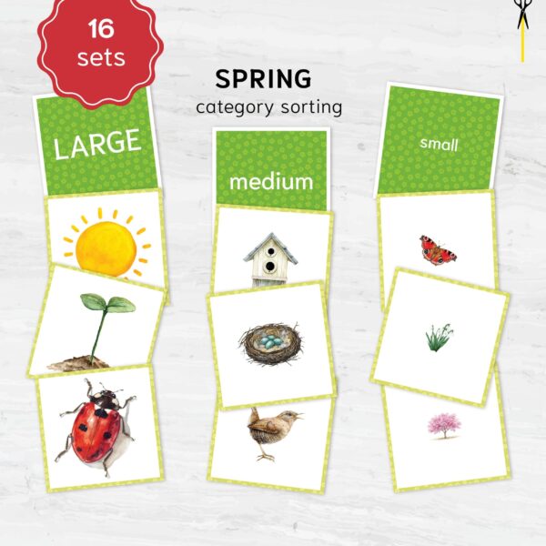 Spring Size Sorting Printable | Montessori Category Sorting Cards (Digital Download)