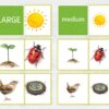 Spring Size Sorting Printable | Montessori Category Sorting Cards (Digital Download)