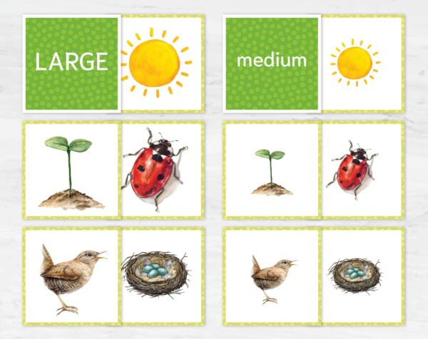 Spring Size Sorting Printable | Montessori Category Sorting Cards (Digital Download)
