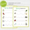 Spring Number Tracing Worksheets 0-10 | PreK-K Counting + Line Tracing | Preschool Math Printable PDF