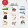 Animals Category Sorting Printable | Montessori Matching Game | PreK Kindergarten PDF