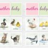 Mother Baby Animal Matching Cards Printable | Montessori PreK-K Science Activity | Animal Families Match Game