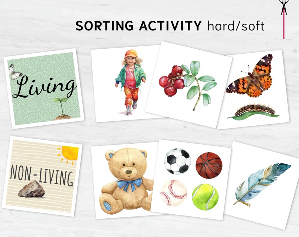 Living and Nonliving Sorting Activity Printable | Montessori Science Classification | PreK-K Category Sorting Cards