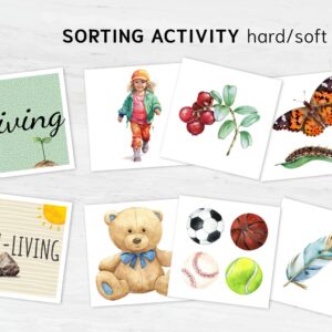 Living and Nonliving Sorting Activity Printable | Montessori Science Classification | PreK-K Category Sorting Cards