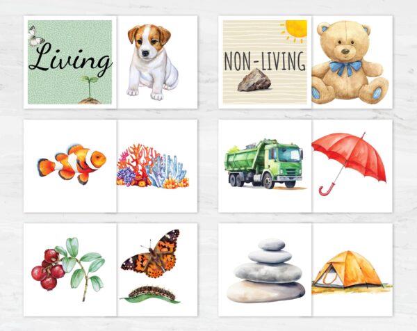 Living and Nonliving Sorting Activity Printable | Montessori Science Classification | PreK-K Category Sorting Cards | PDF