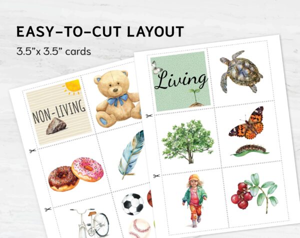 Living and Nonliving Sorting Activity Printable | Montessori Science Classification | PreK-K Category Sorting Cards | PDF