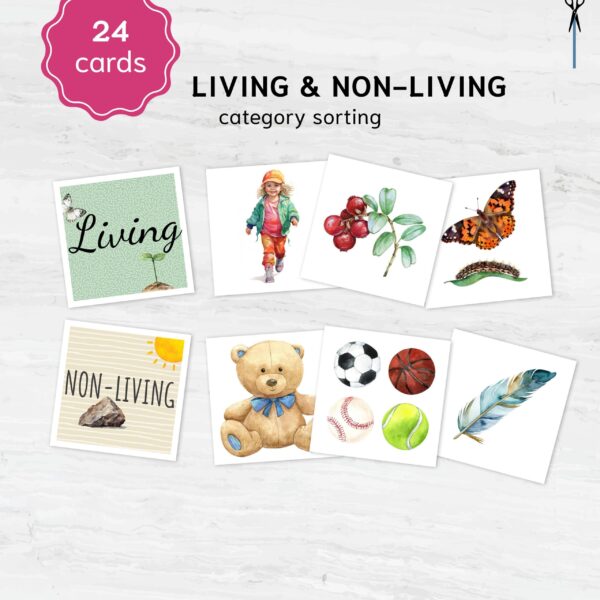 Living and Nonliving Sorting Activity Printable | Montessori Science Classification | PreK-K Category Sorting Cards | PDF