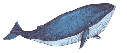 Montessori Print Store