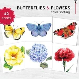 Color Matching Game: Butterflies & Flowers Printable Color Sorting Activity